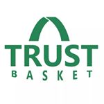 Buy Wall Hanging Planters Online | Trust Basket